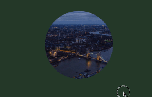 image1.gif